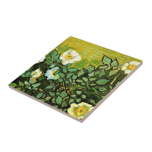 Van Gogh - Wilde Rozen Tegeltje (Zijkant)