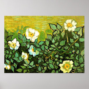 Van Gogh - Wilde Rozen, Van Gogh bloemschilderij Poster