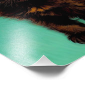 Van Gogh Zwart Kat Rood Bloemen Foto Afdruk (Hoek)