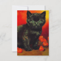 Van Gogh Zwart Kitten