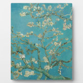 Van gogh's Almond Blossom Fotoplaat (Voorkant)