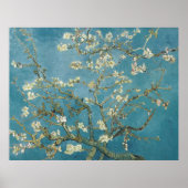 Van Gogh's Almond Blossom Poster (Voorkant)