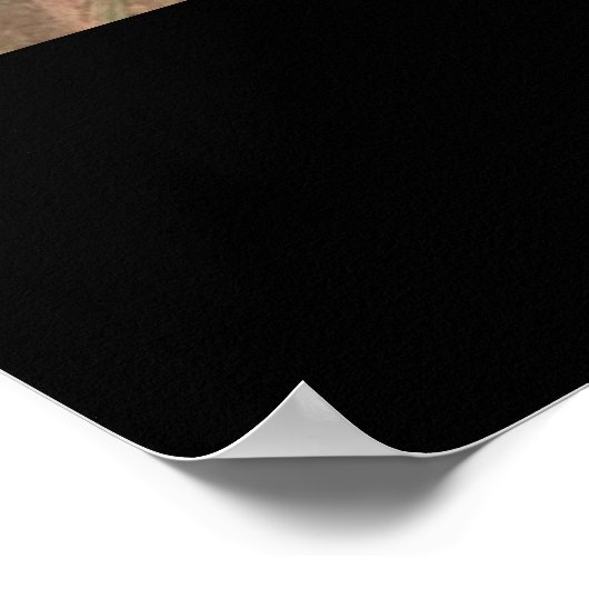 Van Gogh's Bedroom in Arles Poster Print (Hoek)