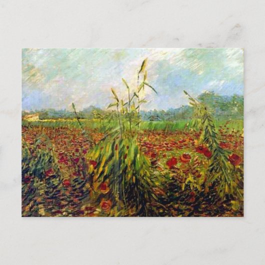 Van Gogh's beroemde schilderij, Green Corn Stalks Briefkaart (Voorkant)