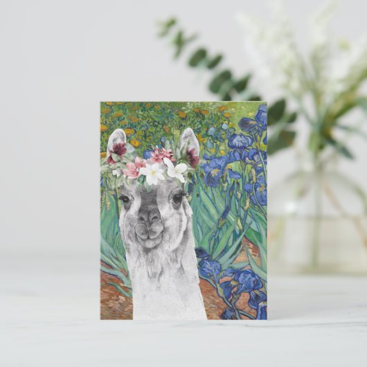 Van Gogh's Irises en Fancy Llama Briefkaart (Staand voorkant)