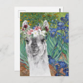 Van Gogh's Irises en Fancy Llama Briefkaart (Voorkant / Achterkant)