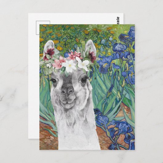 Van Gogh's Irises en Fancy Llama Briefkaart (Voorkant / Achterkant)