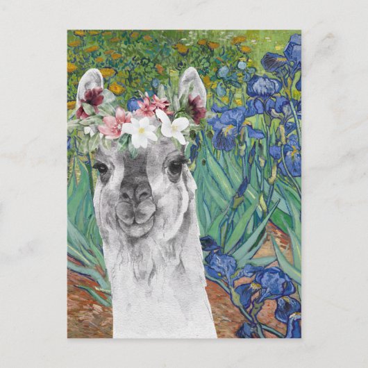 Van Gogh's Irises en Fancy Llama Briefkaart (Voorkant)