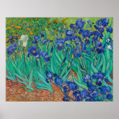 Van Gogh's Irises Poster (Voorkant)