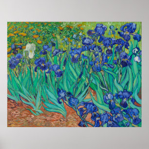 Van Gogh's Irises Poster