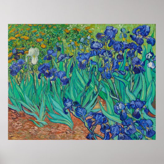 Van Gogh's Irises Poster (Voorkant)