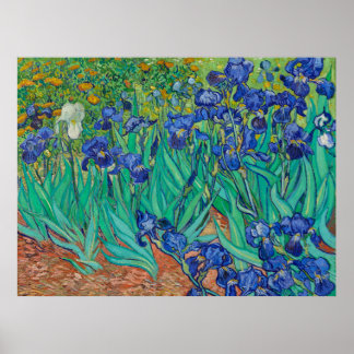 Van Gogh's Irissen Poster