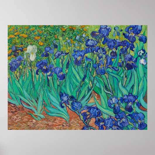 Van Gogh's Irissen Poster (Voorkant)