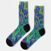 Van Gogh's Irissen Sokken (Links)