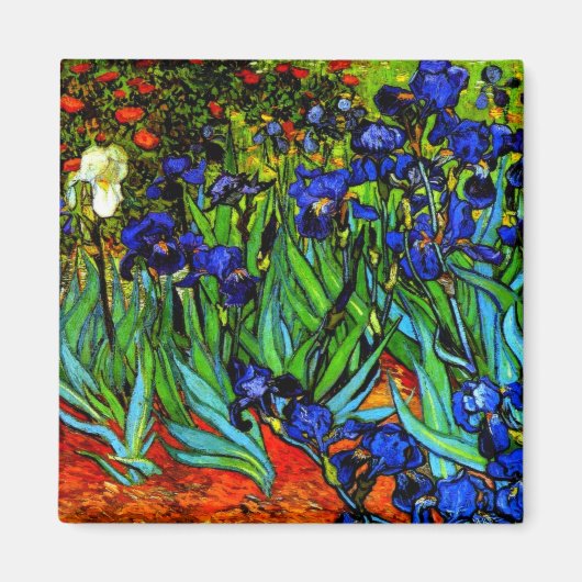 Van Gogh's schilderij, Irises Magneet (Voorkant)
