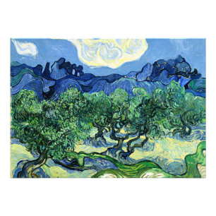 Van Goghs schilderij, Olijfbomen met Alpilles Foto Afdruk