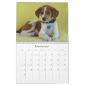 Van Harlan naar Veilige handen Kalender (Feb 2027)