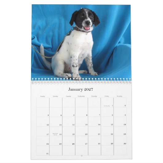 Van Harlan naar Veilige handen Kalender (Jan 2027)