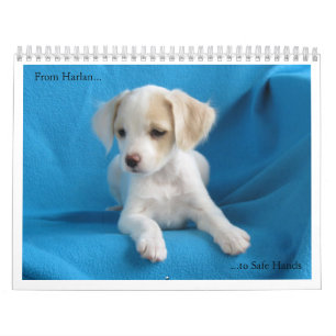Van Harlan naar Veilige handen Kalender