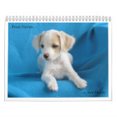 Van Harlan naar Veilige handen Kalender (Hoes)