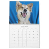 Van Harlan naar Veilige handen Kalender (Mar 2026)