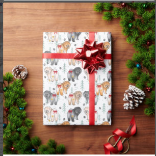 VAN HELE HEERTE 5 chow kleuren Cadeaupapier
