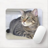 Van Helsing Muismat (Met muis)