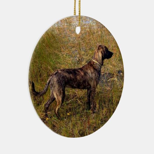 Van het Aangepaste Ornament van de Dog (Rechts)