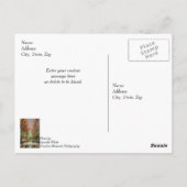 Van het altaardenken van je Briefkaart (Achterkant)