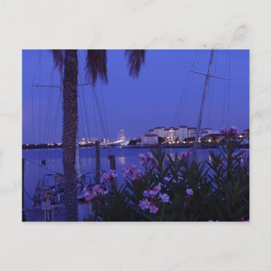 Van het Briefkaart van de Cove (Voorkant)
