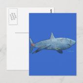 Van het Collectie van de haaien Briefkaart (Voorkant / Achterkant)