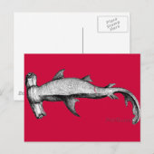 Van het Collectie van de haaien Briefkaart (Voorkant / Achterkant)