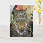 Van het de katten de Gelukkige Nieuwjaar van de Kaart (Gele Bloem)