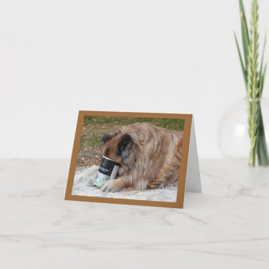 Van het de liefdesroomijs van het voer de kaart (Voorkant)