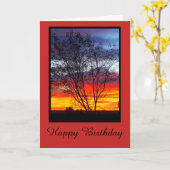 Van het de zonsondergangsilhouet van Julia Creek Kaart (Gele Bloem)