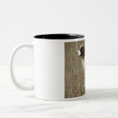 Van het Gebied Bred English Springer Spaniel? Tweekleurige Koffiemok (Links)