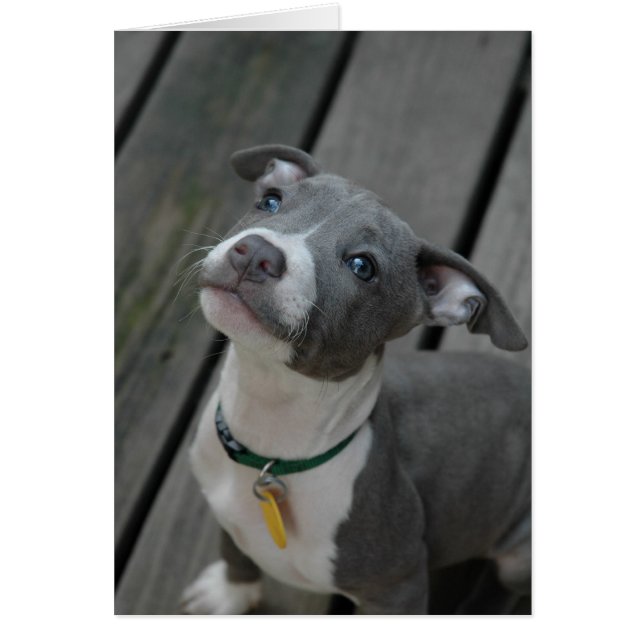 Van het hart (Voorkant)