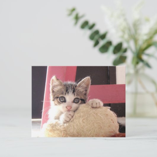 van het het katjesspeelgoed van bakkebaarden de briefkaart (Staand voorkant)