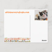 van het het katjesspeelgoed van bakkebaarden de briefkaart (Achterkant)