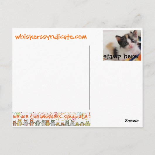 van het het katjesspeelgoed van bakkebaarden de briefkaart (Achterkant)