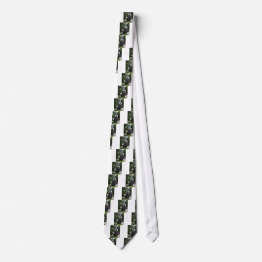 van het het spoorstation van de treinstoom het stropdas (Voorkant)