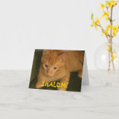 Van het kat "SHALOM" het Joodse Wenskaart Kaart (Gele Bloem)