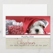 van het Kerstmishuisdier van de seizoengroet de Feestdagenkaart (Voorkant / Achterkant)