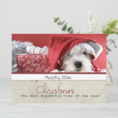 van het Kerstmishuisdier van de seizoengroet de Feestdagenkaart (Staand voorkant)