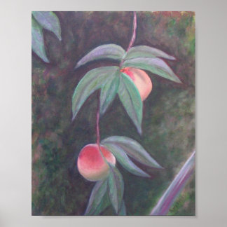 VAN HET Poster FLORIDA PEACHES