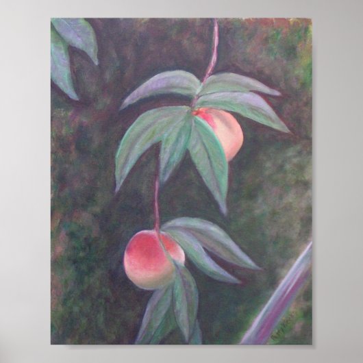 VAN HET Poster FLORIDA PEACHES (Voorkant)
