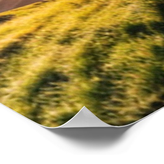 Van het Poster van de Grijze (Hoek)