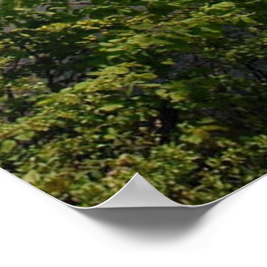 Van het Poster van het landschap van het meer van  (Hoek)