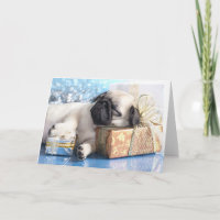Van het puppypug en Kerstmis van de slaap giften