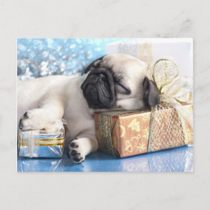 Van het puppypug en Kerstmis van de slaap giften Feestdagenkaart